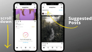 Instagram Suggestions 